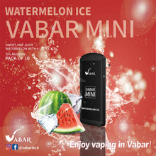 Load image into Gallery viewer, Vabar Mini